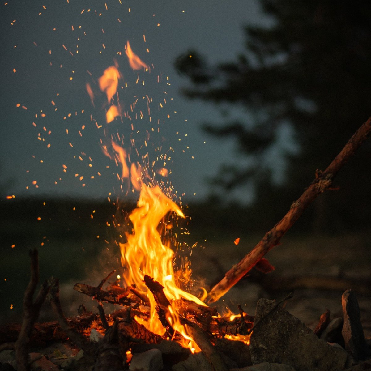 Learn Advanced Firelighting at Woodland Wellbeing this Friday! facebook.com/events/2314768…
#bushcraft #saffronwalden #woodlandwellbeing