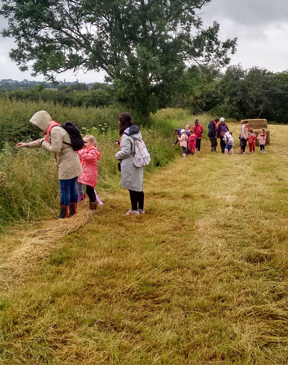 #OnceUponATime wellington boots were green. Not any more - especially when  #Rainbows from Nottingham come to #visitafarm! Despite the rain, a great time was had by all on Saturday. #HLS #EducationalAccess