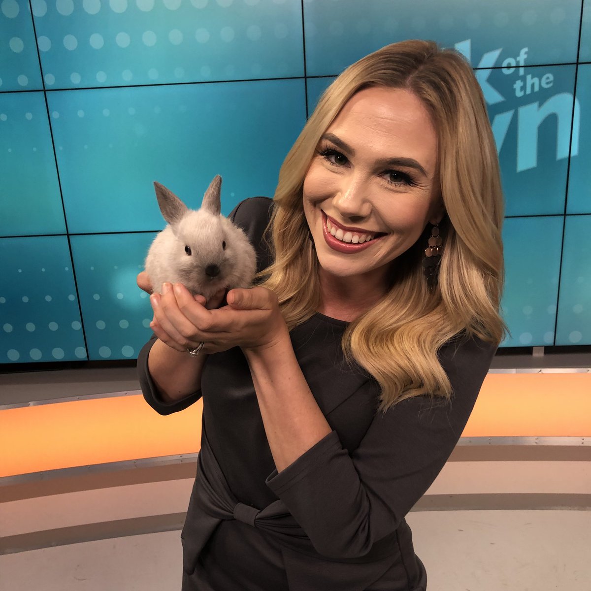 Adoptable dogs - and this sweet  bunny in the studio today! Heather Mathis couldn’t resist!