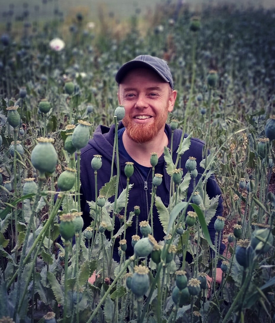 MarcinMinor tweet media