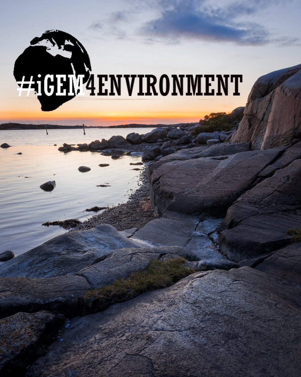 igem_chalmers's tweet photo. Join us!😍🌎🌍🌏 https://t.co/VZITcdq9oF