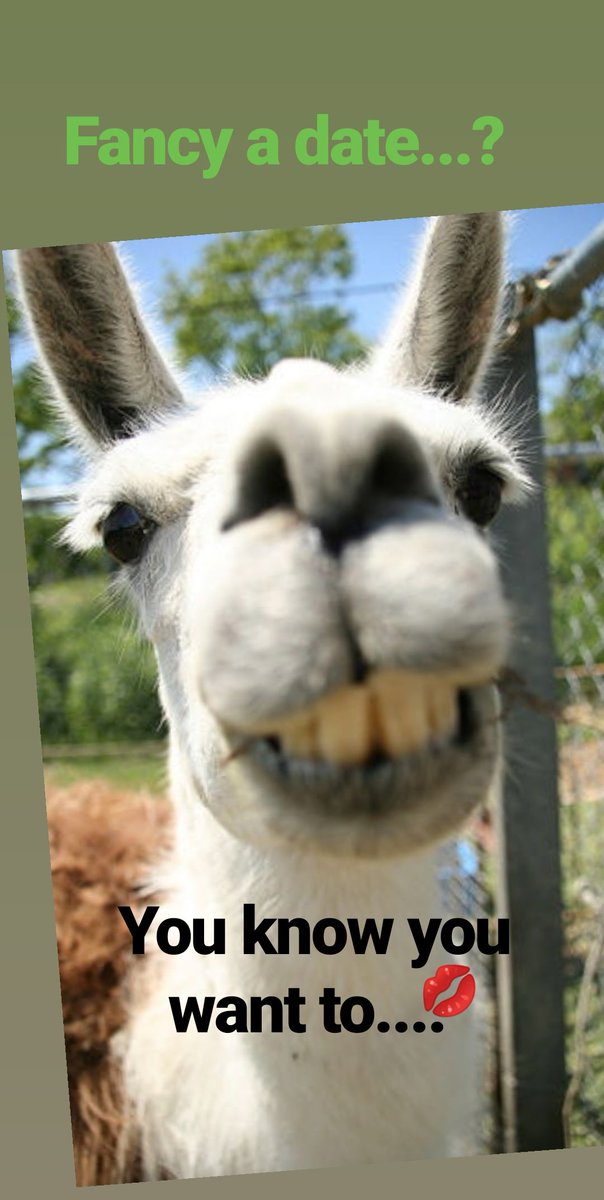 This saturday...comedy night.....
Bring your mates grab a bucket of beers and enjoy some laughs... 
#supportyourclub #macmillan
#reigatepriorycricket #reigatepriorycricketclub #prioryllamas #Llamasarecoming