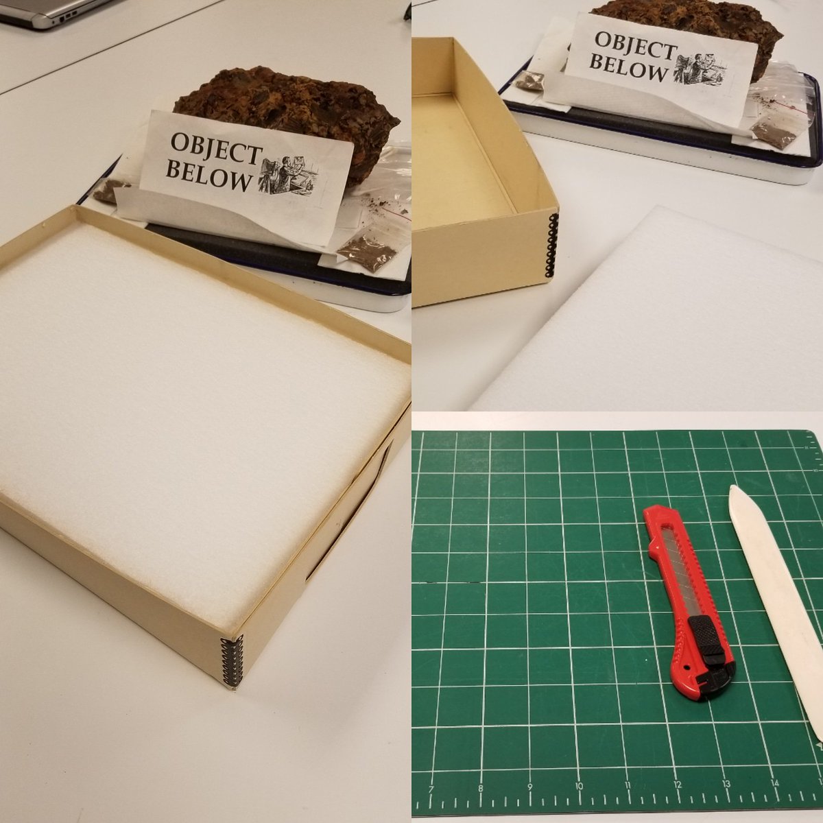 MarianaDGiacomo's tweet photo. Who needs a fancy coloring book when you can make rehousing for #fossils?!
Sometimes all you need is some alone time with the knife and the ethafoam 🔪 🔪🔪😂
#FossilConservation #NatHistConservation #coquina #IronHillScienceCenter https://t.co/lV67RGspSe