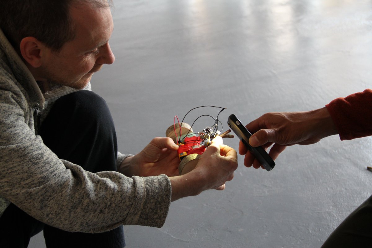 Fermynwoods tweet media