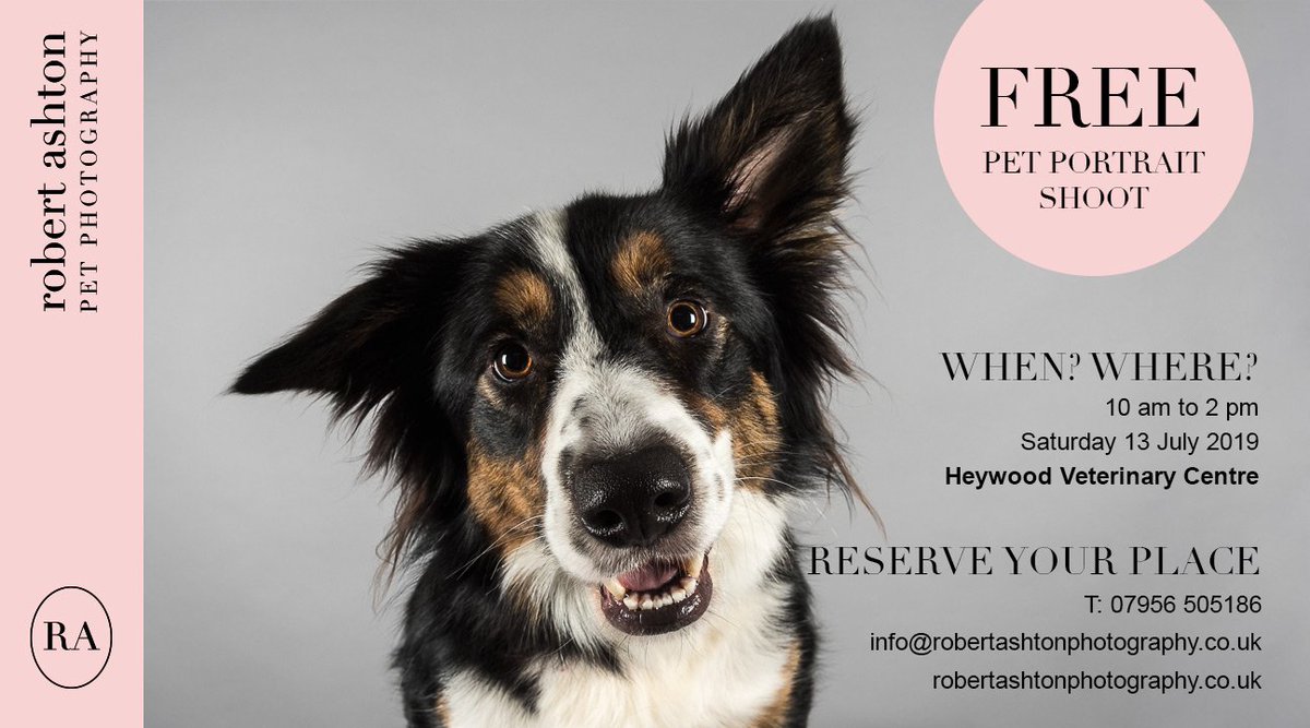 RobAshtonPhoto's tweet photo. Do you have an image of your pet that you can cherish forever? If not then I am shooting FREE pet portraits @HeywoodVets on 13/07/2019! Prices from £25 if you like what you see - call 07956 505186 to book. #RochdaleHour #RAPetPhotography #pets #Heywood #dogs #cats #HeywoodVets https://t.co/iPTxrF3oXu