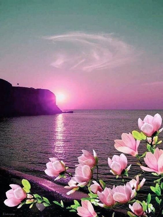 سحر الحربي 🌸✍️🏻 tweet media