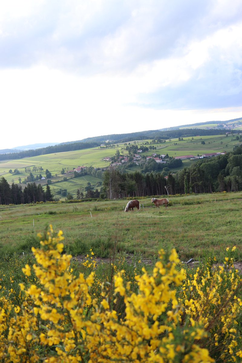 blogslowlife's tweet image. Redécouvrir le Parc du Pilat à deux pas de chez nous. 😀 Le village de Malleval,🏡 du velo sur la ViaRhona,🚴‍♂️ les lupins en fleurs, les genêts en rando...  Je suis certain que vous connaissez ? 👣 #pilat #Loire #igersstetienne #MagnifiqueFrance