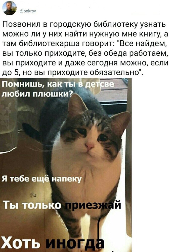 D-A3RsiW4AAFJ0W?format=jpg&name=medium