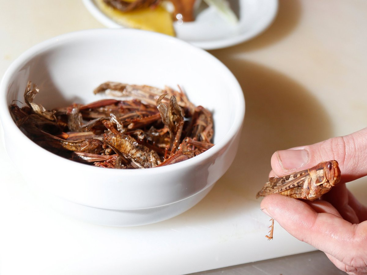 The insect protein market could be worth $8 billion by 2030 ow.ly/JqSB30p0SLt