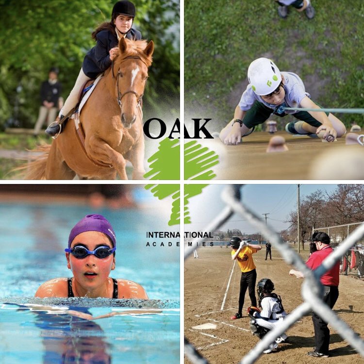 Oak International tweet media