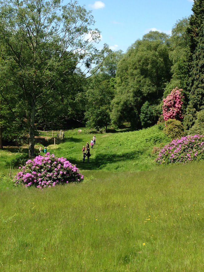 Our last #orienteering event of the season is at #Holt Hall on Sunday. Register from 10 - 11am. Look forward to seeing you there.