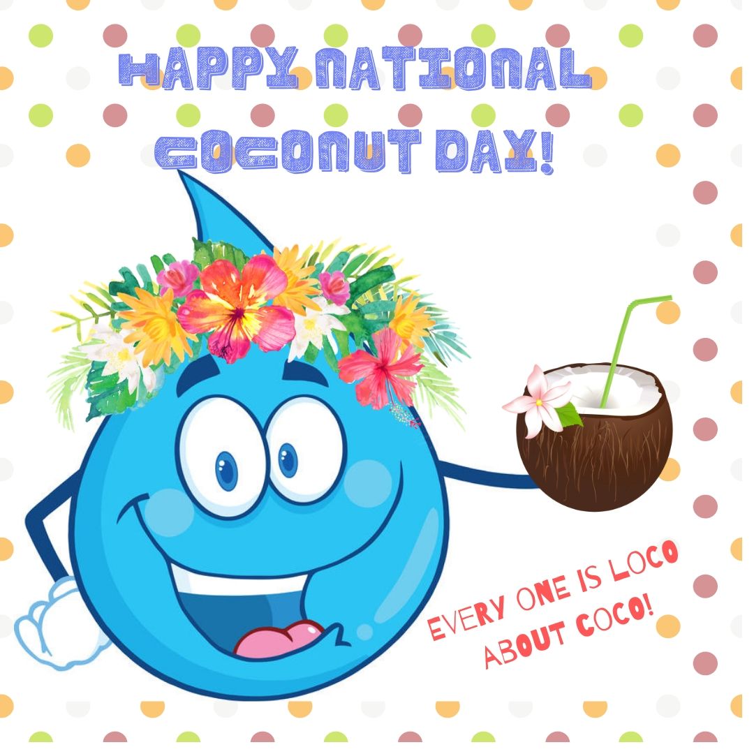 southcoastwater's tweet image. Loco for coconuts? Happy National Coconut Day! We like coconut water too but, there are few things you need to know before you imbibe! And remember, we are always here for you! #NationalCoconutDay #coconutwater trib.al/PUFFaV7