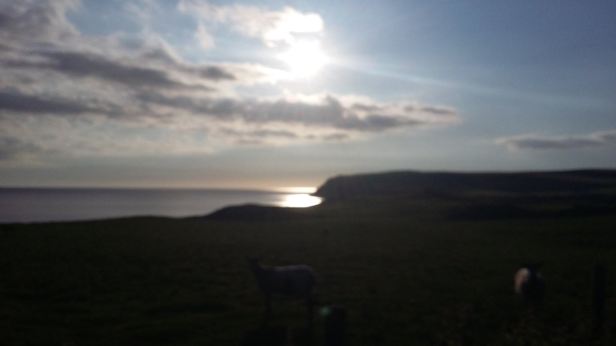 huwlewis2's tweet photo. Golf in the morning; pub cycle in the evening.
Note to self - stop enjoying yourself so much.....
#StBees
#MellowVelo
#MinesaGold https://t.co/G2kz1KQozs