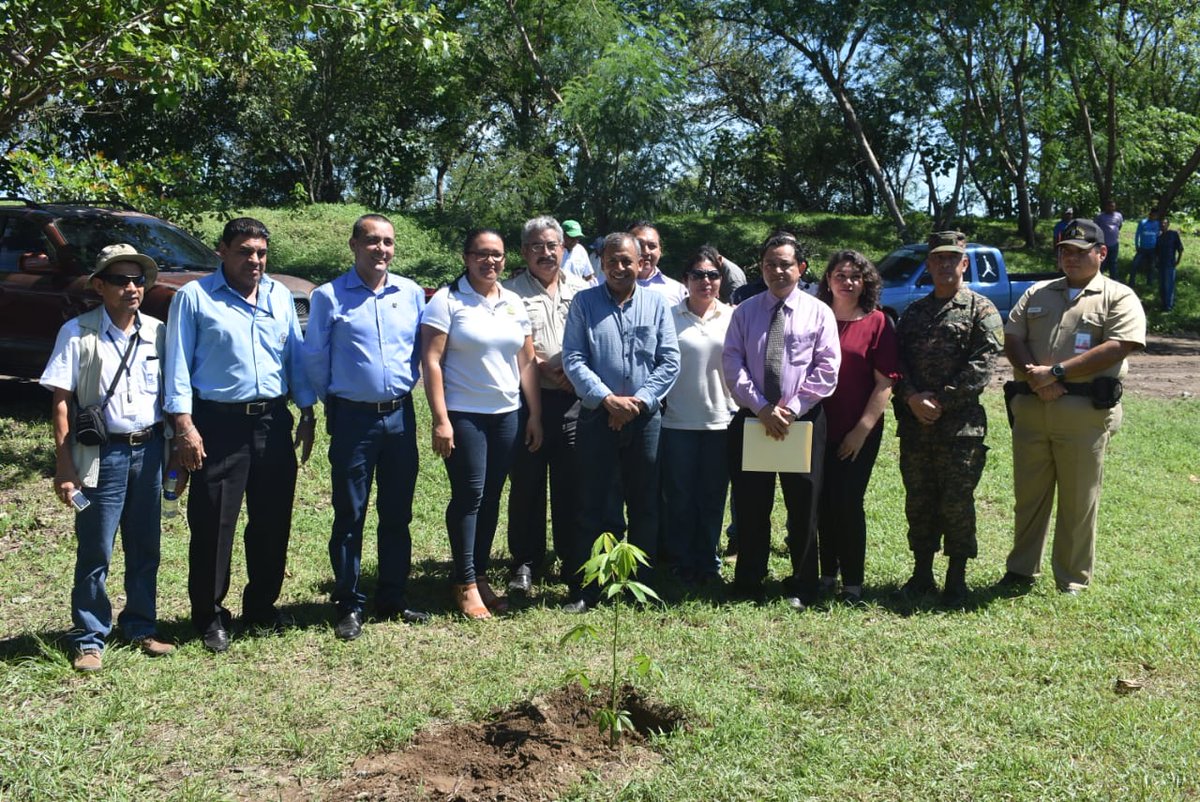 fiaes_sv's tweet image. #FIAES | También se ha sumado la @AsocMadrecria, #Adepromina, @Fundadomenech  y #fundatere para la restauración del bosque de galería del río Jiboa.
 
Esta acción se está haciendo con apoyo de la empresa privada en el #SitioRamsar #ComplejoJaltepeque.