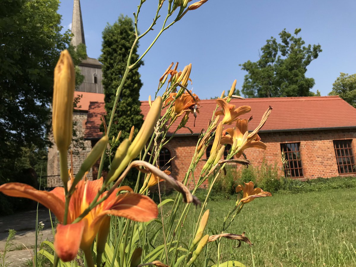 Uckermark_tmu's tweet image. Trotz der Hitze hat sich der Weg heute nach #Wartin geloht! Das #Schloss Wartin ist ein wirklich ganz besonderer Ort mit viel Platz &amp;amp; Atmosphäre zum Austausch und kreativen Arbeiten. Mehr unter: wartin.com #Tagungslocation #Seminarhaus #Garten