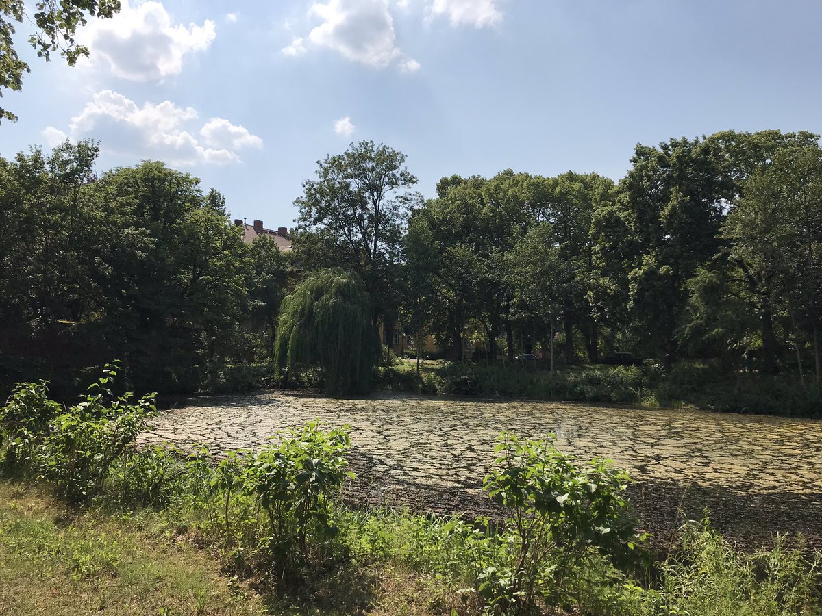 Uckermark_tmu's tweet image. Trotz der Hitze hat sich der Weg heute nach #Wartin geloht! Das #Schloss Wartin ist ein wirklich ganz besonderer Ort mit viel Platz &amp;amp; Atmosphäre zum Austausch und kreativen Arbeiten. Mehr unter: wartin.com #Tagungslocation #Seminarhaus #Garten