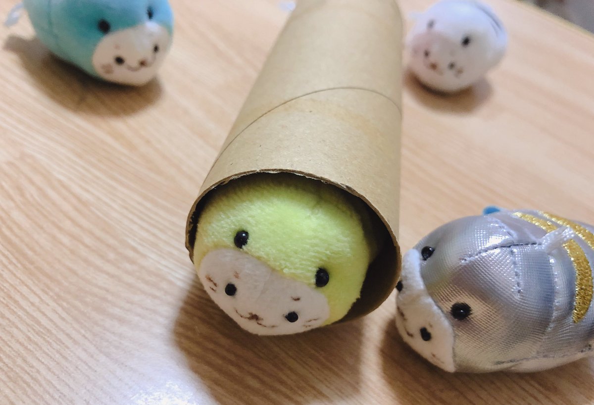 トイレットペーパーの芯