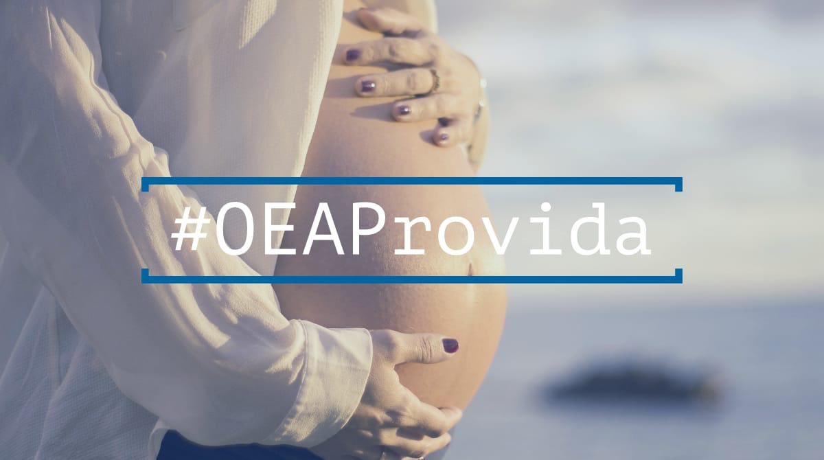 EcuadorProvida's tweet photo. América Latina te necesita 💪🏻💙 Desde hoy hasta el viernes se realizará la #AsambleaOEA en Colombia. Etiquétalos, utiliza el hashtag #OEAProvida y pidamos que se respete la vida y la familia. Somos la generación provida 👩🏻👱🏼‍♂️👶🏻💙 ¡¡Alza tu voz!! 🗣🗣 https://t.co/5sY8CGbpJN