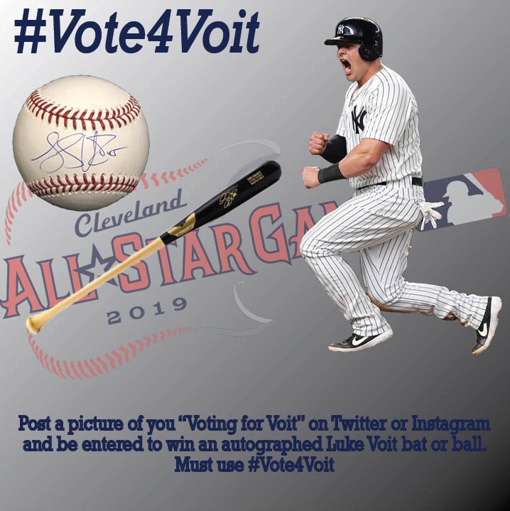 PlatinumSports's tweet photo. #Vote4Voit for the chance to win an authentic @LLVIII40 autographed bat or ball. #Yankees https://t.co/c2aeIPJv7R