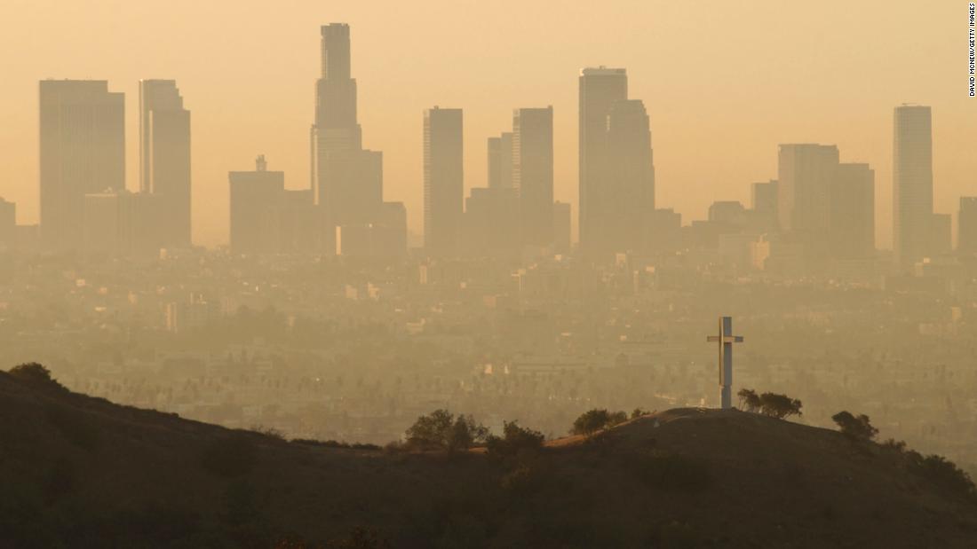 Wellocity Health tweet media