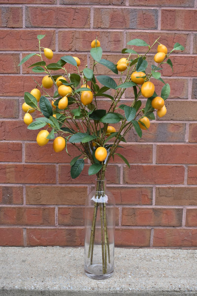 #WednesdayInspiration - For a unique, fresh summer display, bunch together lemon stems and place in a vase. It's colorful and perfect in a kitchen or dining room with your cold lemonade. 🍋
homedecorativeaccents.com/products/lemon…