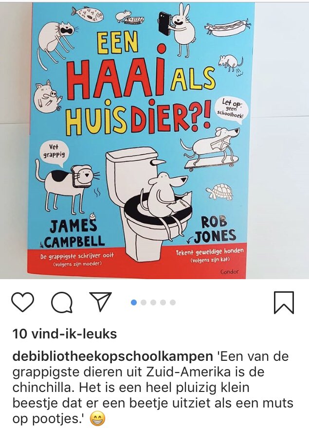 debiebhoorn's tweet image. 