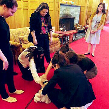 A great discussion with Legislative Interns about democracy, reconciliation &amp; contributing to civil society. What an impressive group of emerging leaders!  <a href="/GovHouseBC/">Government House</a>