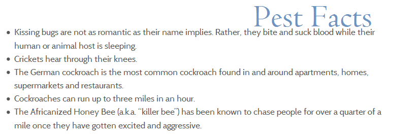 GeffroyTermite's tweet image. #TermiteServices #TermiteProblem #TermiteControl