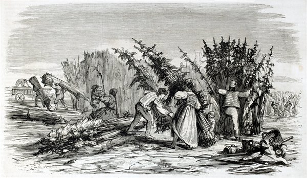 hempy_s's tweet photo. Before the 1800s, #cannabis was not widely used medicinally in #America , but in the 1800s this changed. Between 1842-1890 cannabis based medicines were one of the most prescribed medicines in the #US. Its #Medical use continued until cannabis was made federally illegal in 1937. https://t.co/qnNVxr04sr