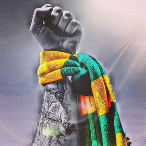 F_Medjbour's tweet photo. Love United, Hate Glazers 
#GlazersOut 🔰 https://t.co/YxKzmLsmrQ