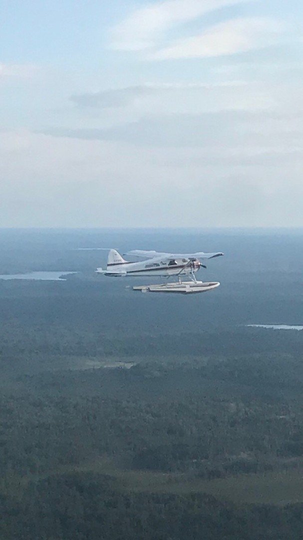 AmphibCaravan's tweet photo. Adventure Air (Beaver) off to work at the camps. A beautiful photograph!
#adventureairservice #floatplane #deHavillandbeaver #beaver #flywithus #fishwithus #aircraft #jacksonslodgeandoutposts #Manitoba #canada https://t.co/HP53KpBjmZ