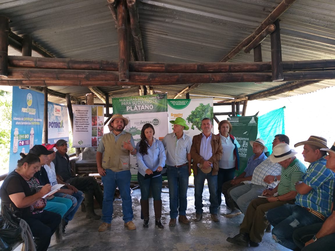 carogomezra's tweet photo. #EnEsteMomento día de campo cultivo de Plátano Municipio de Salamina vereda Buenos Aires. Gracias @ICACOLOMBIA @SomosAGROSAVIA #Isagro @AlcaldSalamina #Invesa @Corpocaldas https://t.co/wbpfRUBeNf