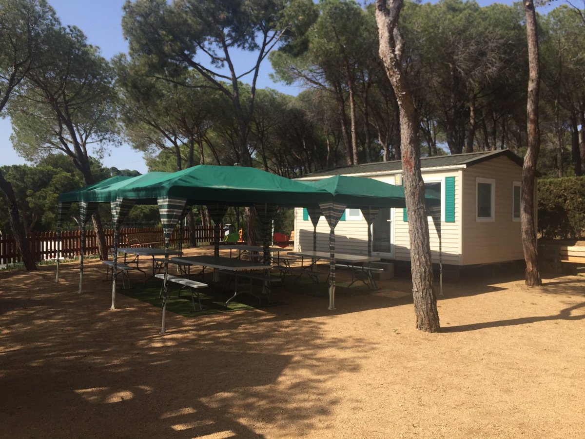 New MiniClub Area!!!! Nova zona pel MiniClub! Nueva Zona para nuestro Miniclub!!
Us hi esperem!! Os esperamos! Welcome!!!
#campingtreumal <a href="/Campingtreumal/">Camping Treumal</a>