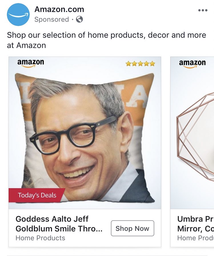 This will go perfectly in my Jeff Goldblum room, thanks <a href="/amazon/">Amazon</a>!