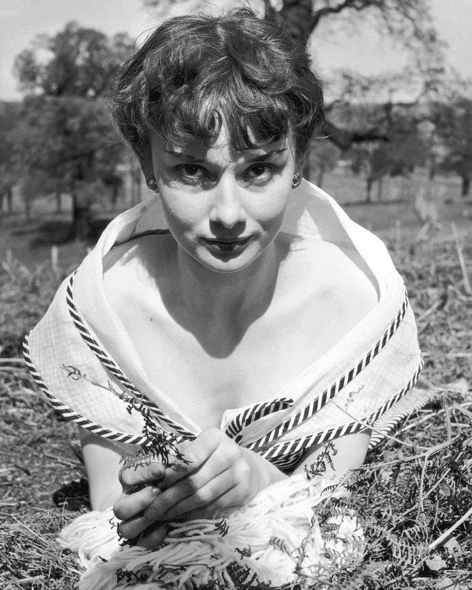 rareaudrey's tweet photo. Rare photos of Audrey Hepburn from a photoshoot she did for Picture Post magazine titled "We Take A Girl To Look For Spring". Photos by Bert Hardy at Kew Gardens in London, May 13, 1950.
#audreyhepburn https://t.co/2yiTqgWapg