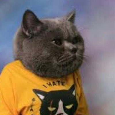 ViktorGrabo77's tweet photo. #NeuesProfilbild https://t.co/IvHIISNMyL