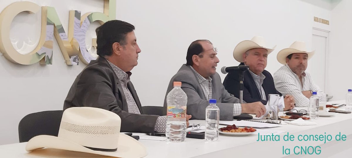 salvarezmor's tweet photo. Me encuentro en la junta de consejo de la @CNOG_MX donde se tocarán temas muy importantes para la ganadería mexicana. https://t.co/V7g0kDZ0UJ