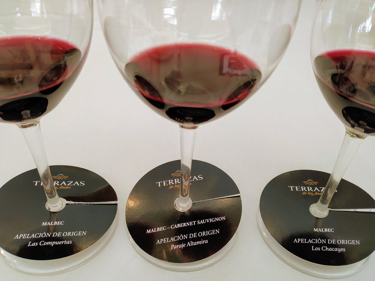 SommelierMza's tweet photo. Fresco y jugoso #LasCompuertas Elegante y sedoso #Altamira , Potente y sabroso #Chacayes @gonzacarrasco80 @Terrazas_Andes #Mendoza
#SommReview #CulturaSommelier #VinoArgentino https://t.co/cYj0oc8FTE