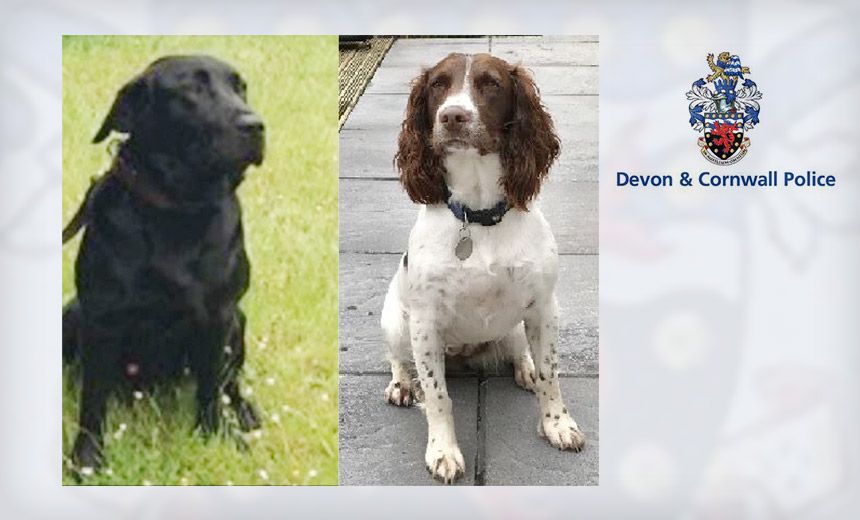 JonSnurka's tweet image. Bring out the #DataDogs Police Arrest 6 in $28 Million Cryptocurrency Fraud Probe buff.ly/2Nieptk #whodathunk