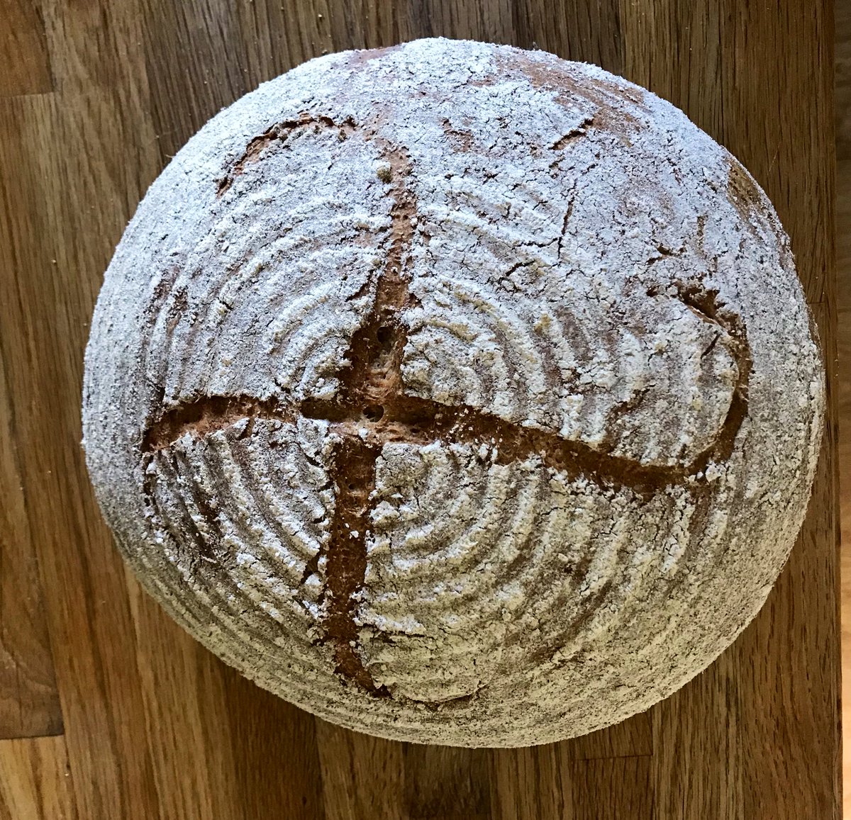 THE END. It worked, the bread is lovely, the oven pop was nuts, and the aroma is heavenly. This is 100% wholemeal local spelt on 100% wild local yeast, collected 6 days ago in a forest. This is ancient baking.   @ClubYeast  @Gilchesters