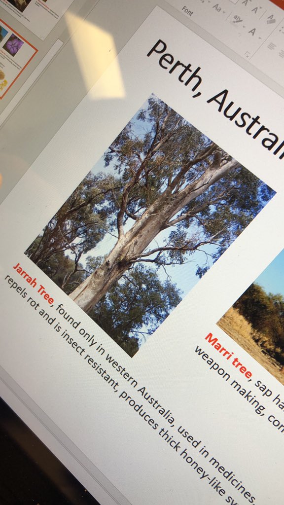 LCHS_AP_DC's tweet photo. News: Australia has found that Tree Sap from the Jarrah tree has successfully treated some people. Only about 20% however, so CDC continues to monitor. https://t.co/Ukf8PzX6Qb