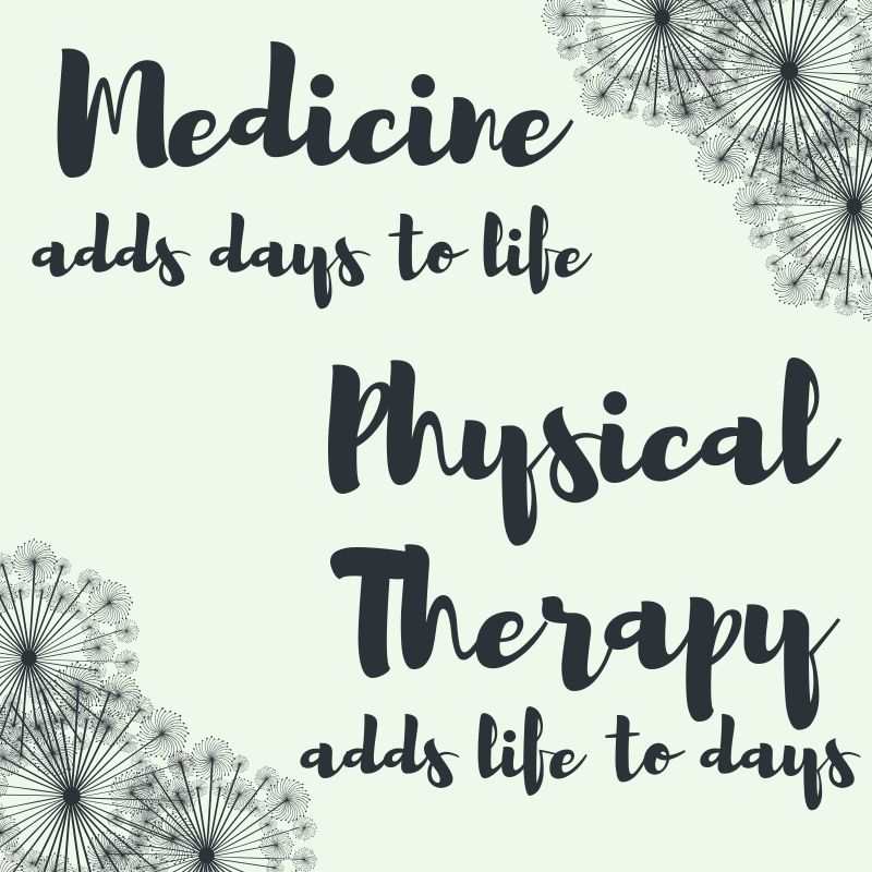 NesinPhysicalTherapy tweet media