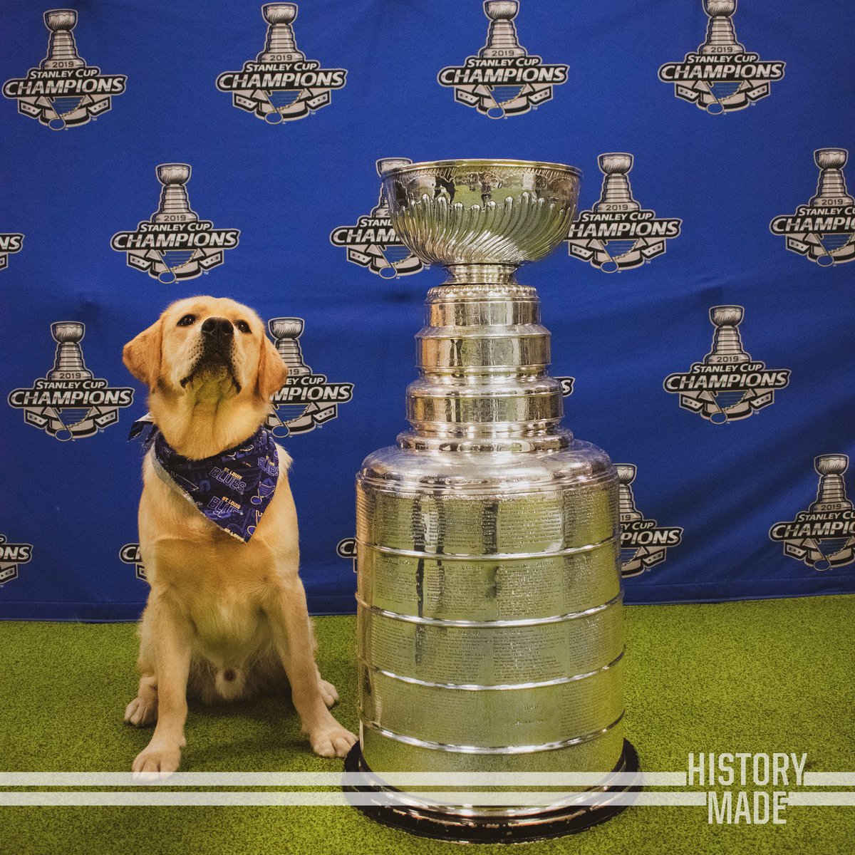 Barclay's 2018-19 Season-in-Review:
🐶 Was born
🏒 Broke the internet
🐶 Won the #StanleyCup 
🏒 Won Best Team Dog 
🐶 Was an overall good boy