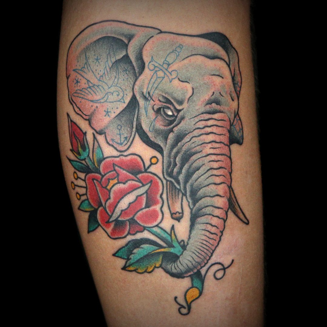 Animal Tattoo Gallery  AJ Constable Tattoo