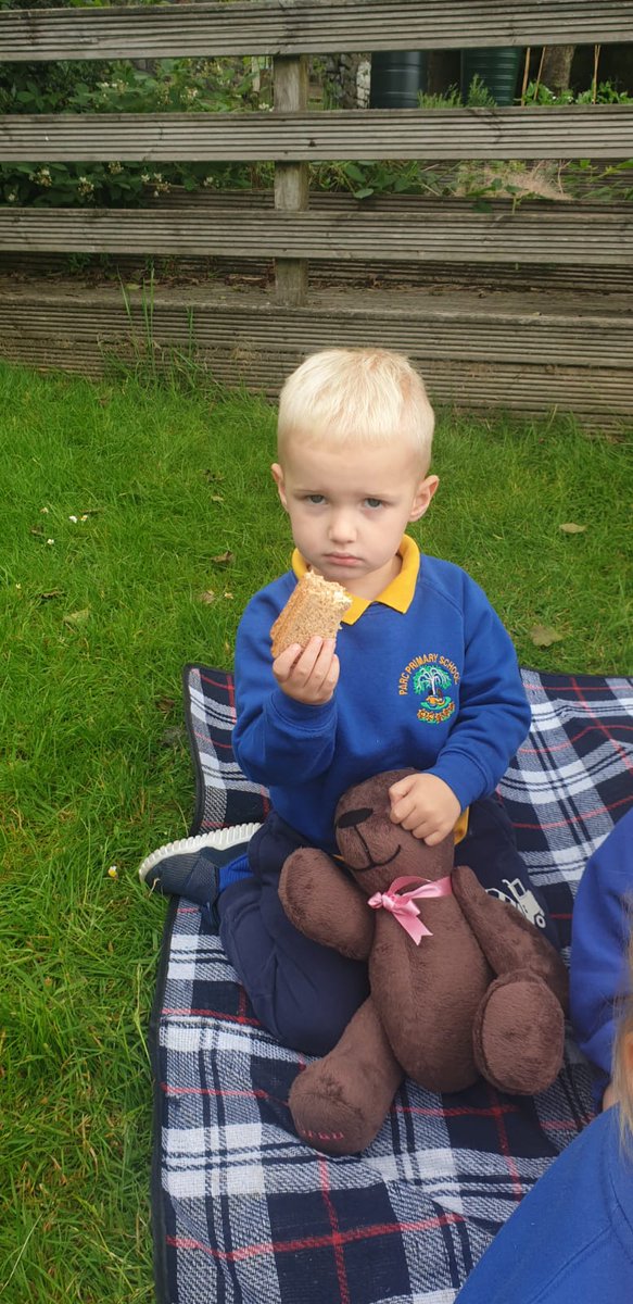 parc_primary's tweet photo. Teddy Bear's Picnic# Summer Term Topic. Nursery #Parcprimary https://t.co/3HvGbqRAsM