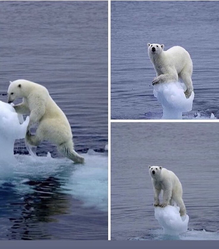 jucapeflor's tweet image. Sco pa tu manaa ?