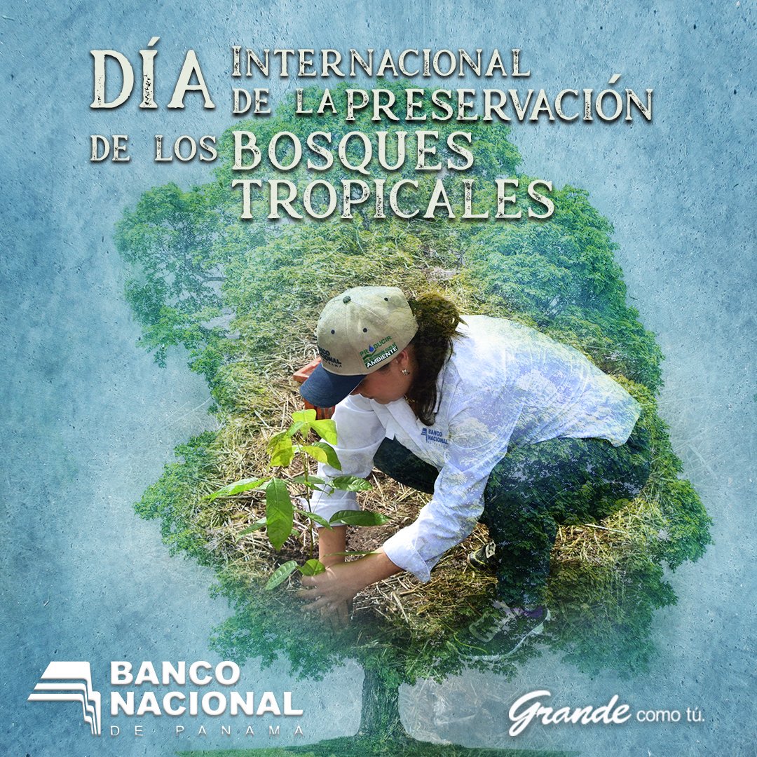 banconalpa's tweet photo. Con la participación en las jornadas de reforestación, Alianza por el Millón de Hectáreas, Banco Nacional de Panamá sensibiliza a la población preservando el ecosistema y los bosques tropicales. 
#Banconalpa #FechasEspeciales #Celebración https://t.co/i5FTpyz3Hs