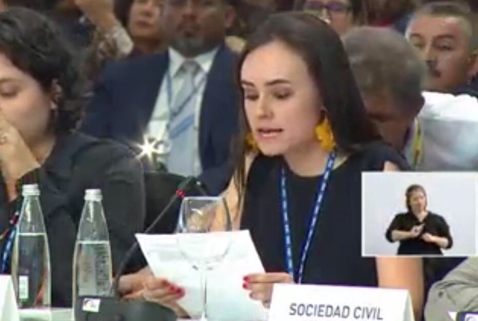 MariaCamilsOspi's tweet image. Hoy tuve la oportunidad de representar a los 32,500 jóvenes que han firmado hasta el momento la declaración de la juventud #YouthDeclaration en la asamblea general de la @OEA_oficial ¡ El respaldó fue masivo! #OEAprovida