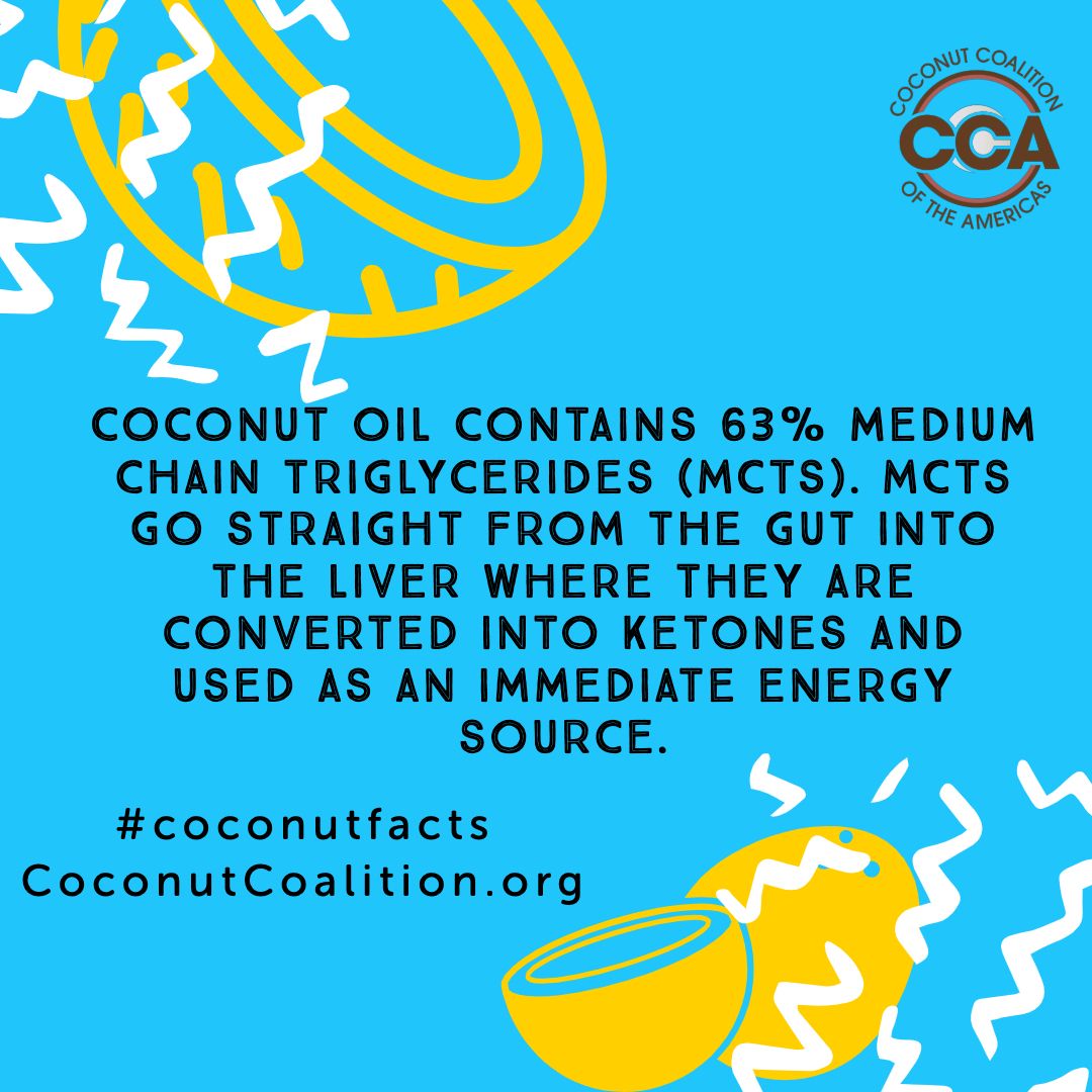 CoconutCCA's tweet image. Coconut oil contains 63% medium chain triglycerides (MCTs). MCTs go straight from the gut into the liver where they are converted into ketones and used as an immediate energy source. #nationalcoconutday