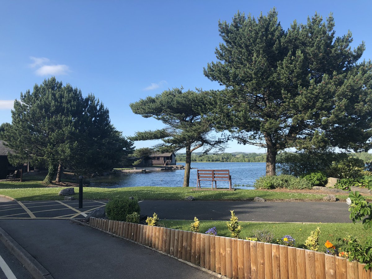 Vicky Thornton tweet media